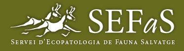 The collection's logo